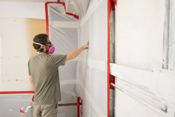 Best Asbestos and Lead Testing During Mold Inspection  in Odell, OR