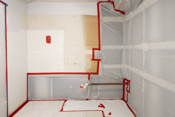 Best Real Estate Mold Inspection  in Odell, OR