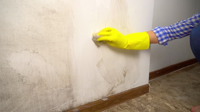 Best Mold Prevention Services  in Odell, OR