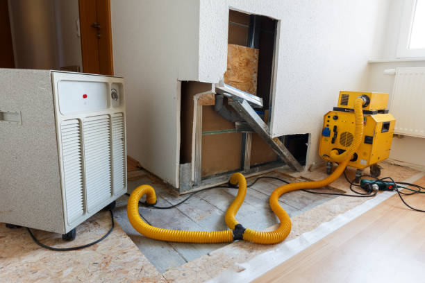 Best Emergency Mold Remediation  in Odell, OR