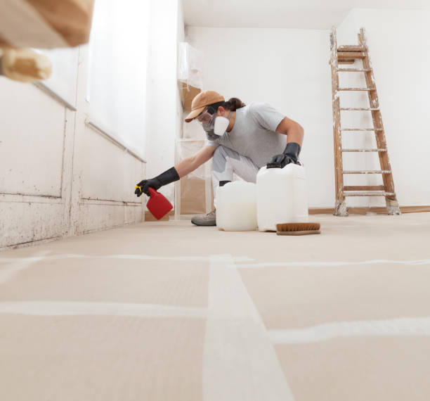Best Mold Documentation for Insurance Claims  in Odell, OR