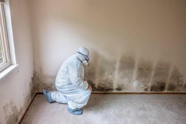Best Commercial Mold Inspection  in Odell, OR