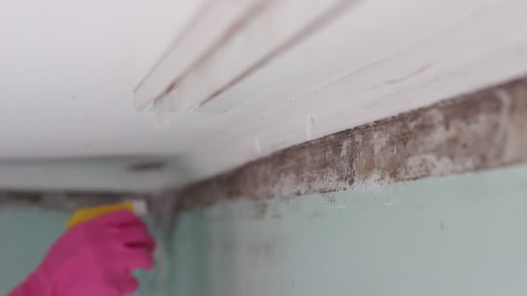 Forensic Mold Investigation in Odell, OR